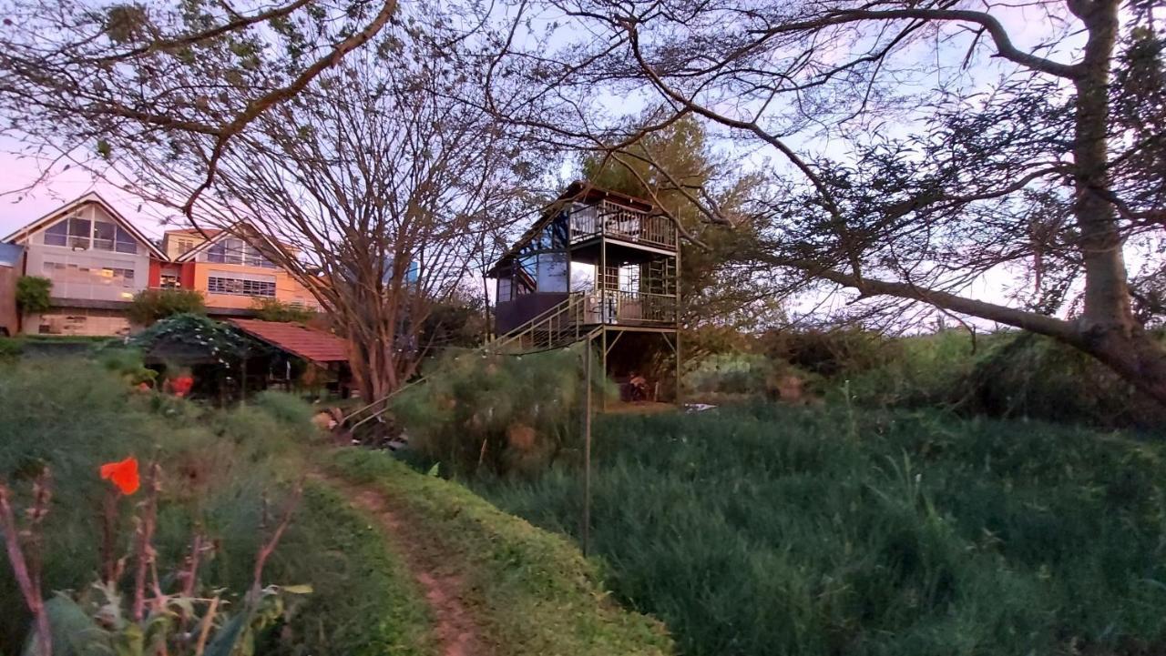 Yellow Haven Lodge Kampala Exterior foto